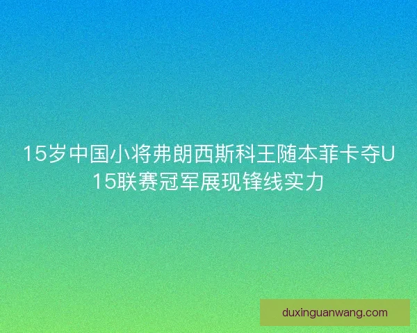 15岁中国小将弗朗西斯科王随本菲卡夺U15联赛冠军展现锋线实力